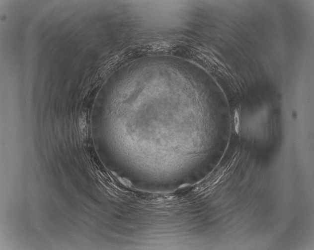 X0000068821395200605051158