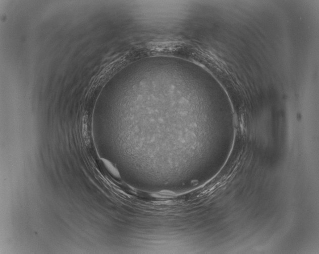 X0000068821396200605051158