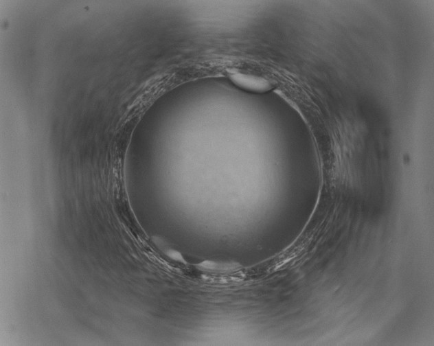 X0000068821397200605051158