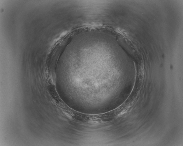 X0000068821398200605051158