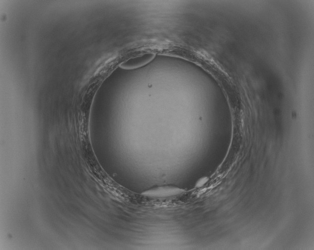 X0000068821399200605051158