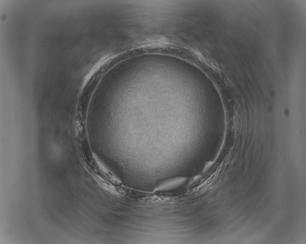 X0000068821400200605051158