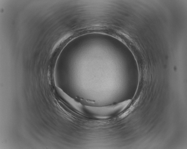 X0000068821402200605051158