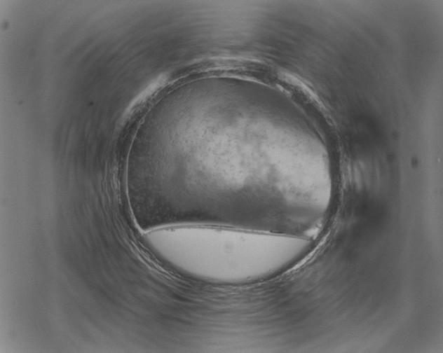 X0000068821403200605051158