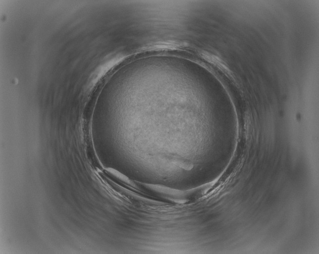 X0000068821404200605051159