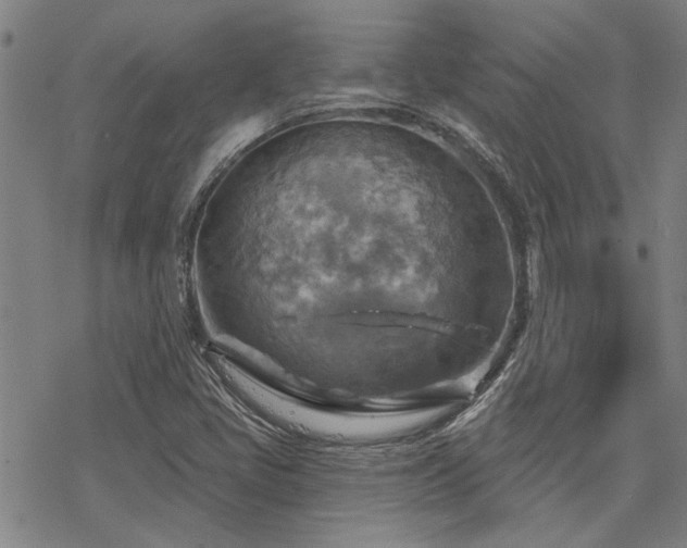 X0000068821405200605051159