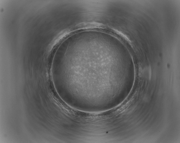 X0000068821407200605051159