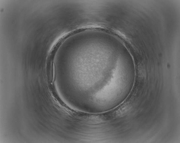 X0000068821408200605051159