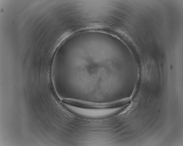 X0000068821409200605051159