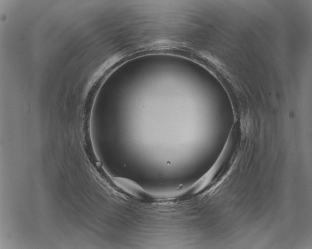 X0000068821410200605051159