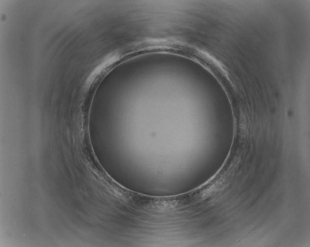 X0000068821411200605051159