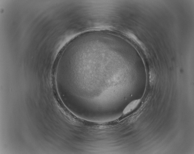 X0000068821412200605051159