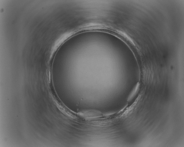 X0000068821413200605051159