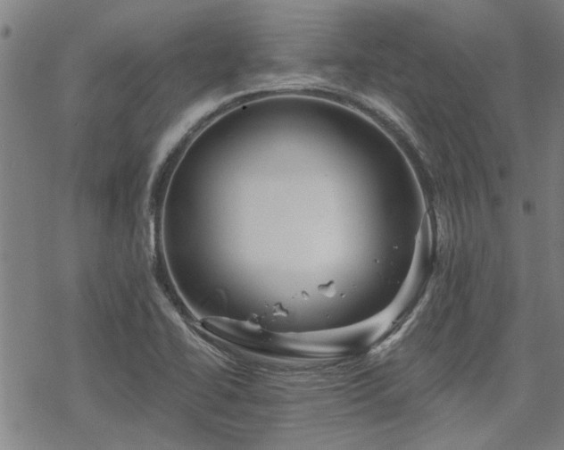 X0000068821414200605051159