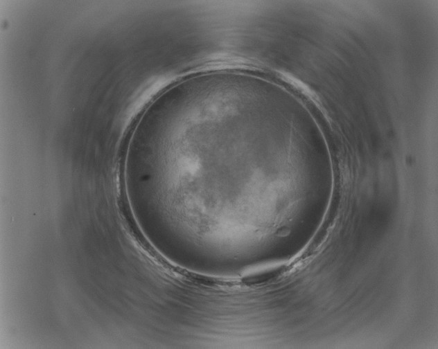 X0000068821415200605051159