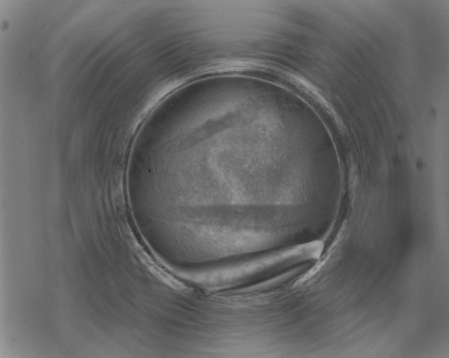 X0000068821417200605051159