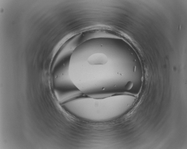 X0000068821418200605051159