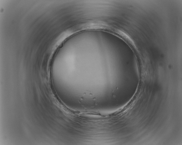 X0000068821419200605051159