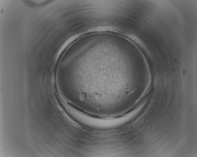 X0000068821420200605051159