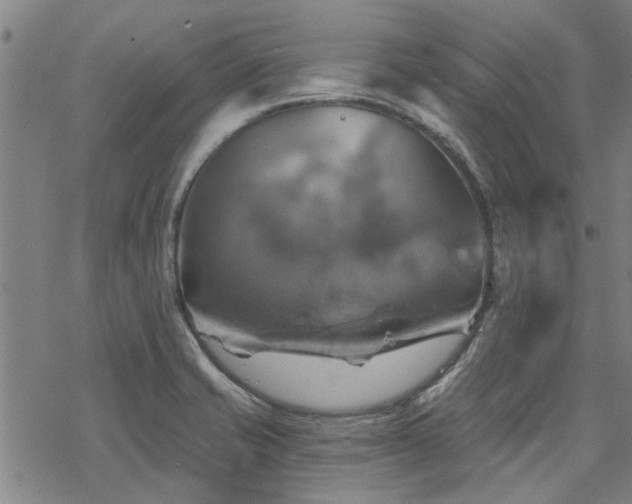 X0000068821421200605051159