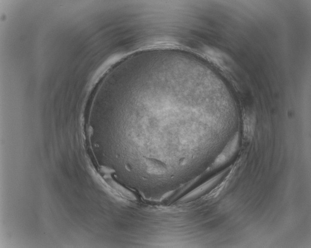 X0000068821422200605051159