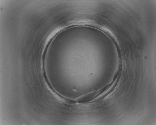 X0000068821424200605051159