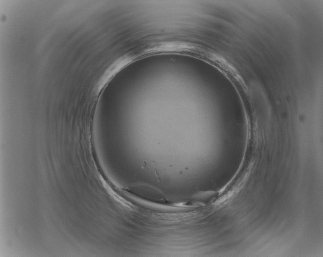 X0000068821425200605051159