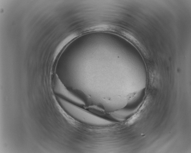 X0000068821426200605051159