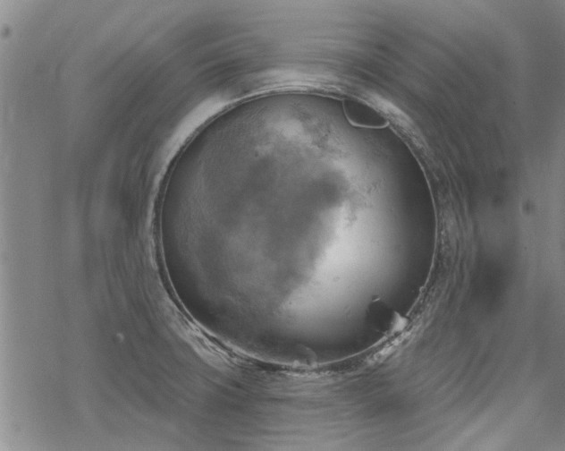 X0000068821427200605051159