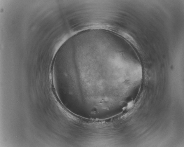 X0000068821428200605051159