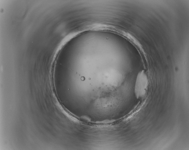 X0000068821429200605051159