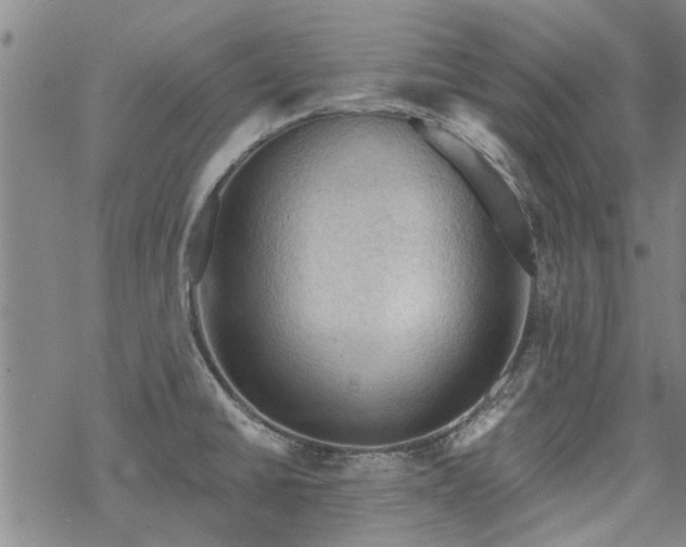 X0000068821430200605051159