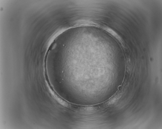 X0000068821431200605051159