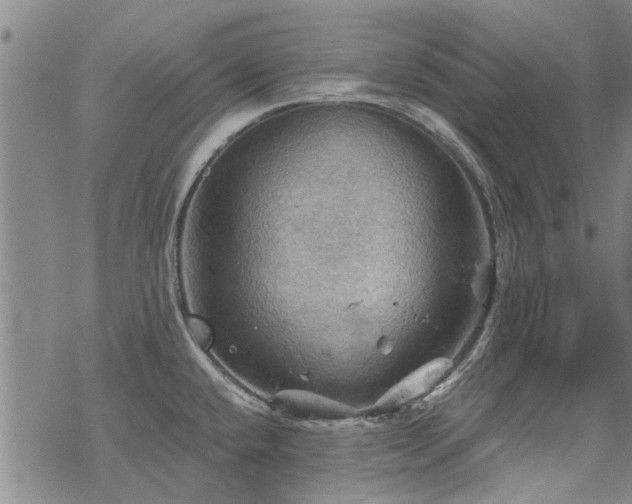 X0000068821432200605051159