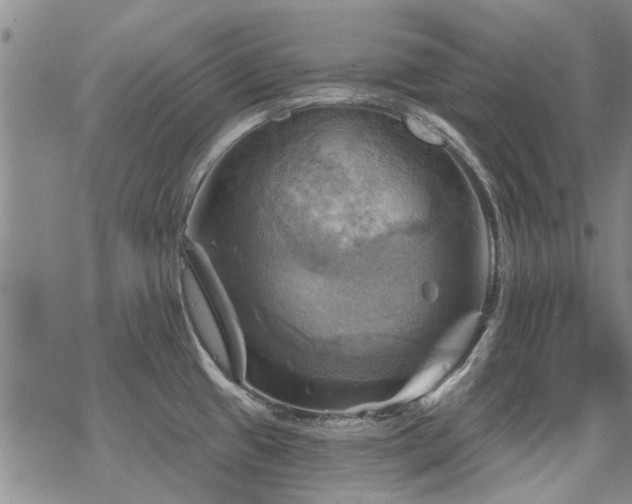 X0000068821433200605051159