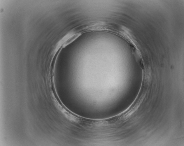 X0000068821434200605051159