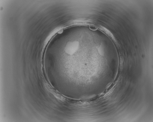 X0000068821435200605051159