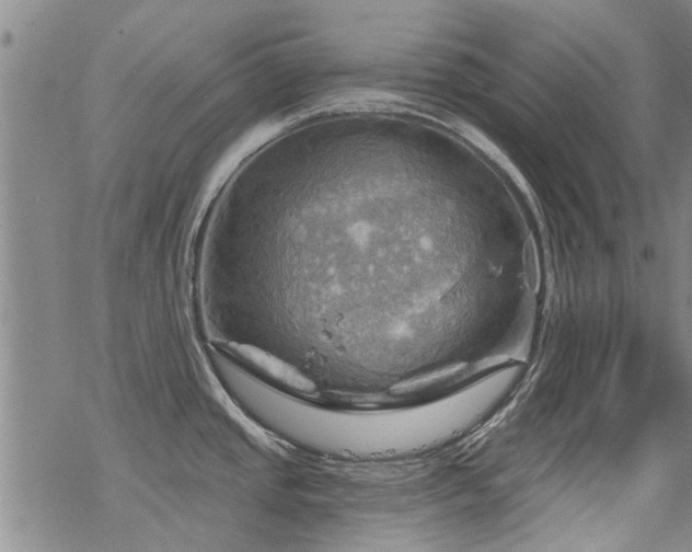 X0000068821437200605051159