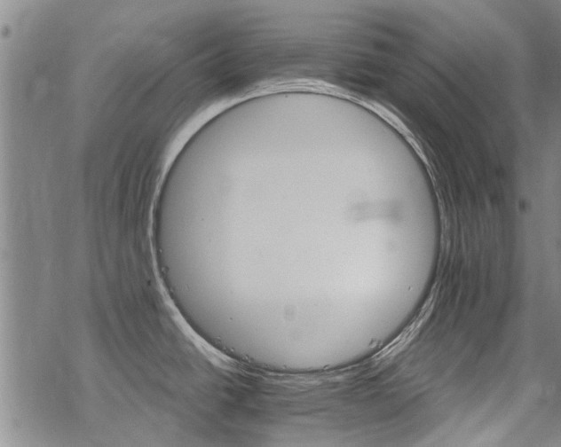 X0000068821438200605051159