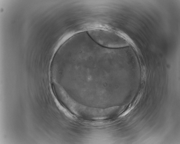 X0000068821439200605051159