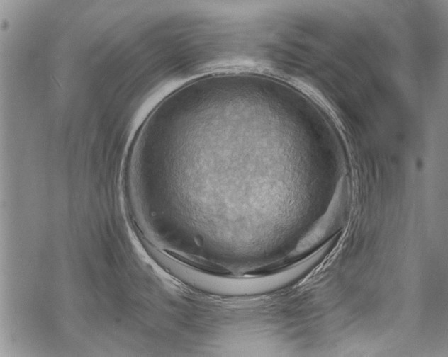 X0000068821440200605051159