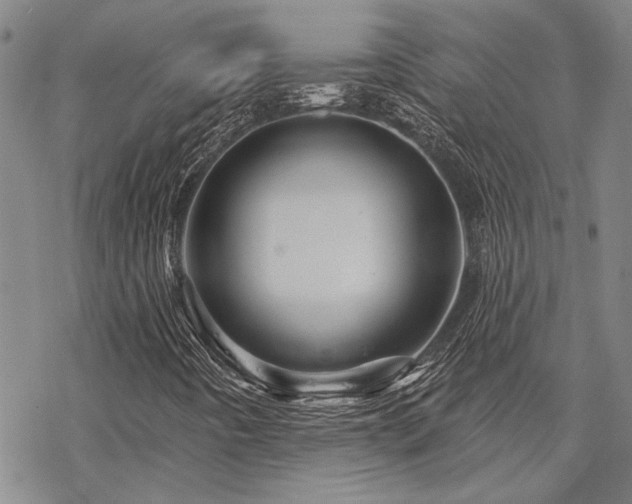 X0000068821442200605051158