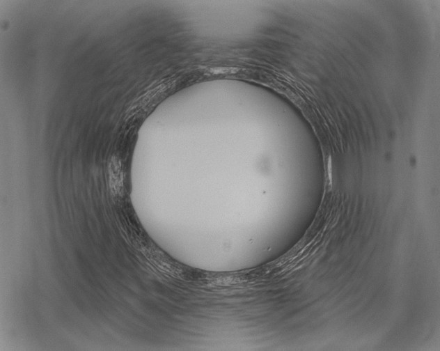 X0000068821443200605051158