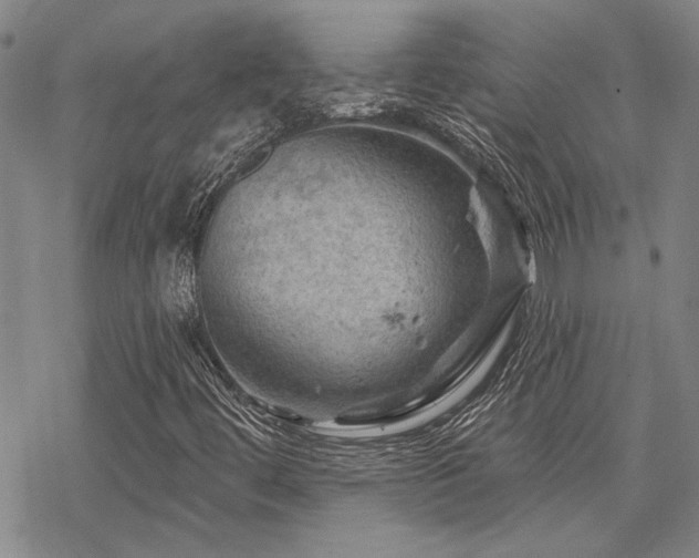 X0000068821444200605051158