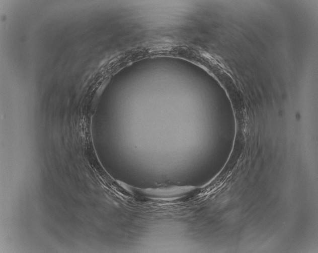 X0000068821445200605051158