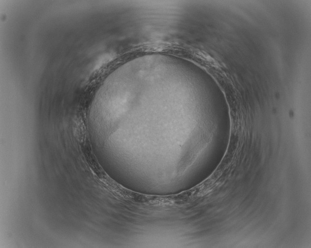 X0000068821446200605051158