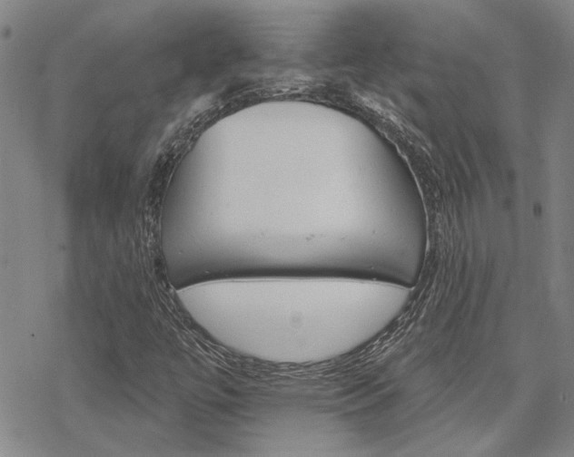 X0000068821447200605051158