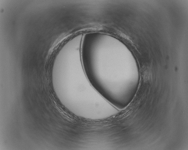 X0000068821448200605051158