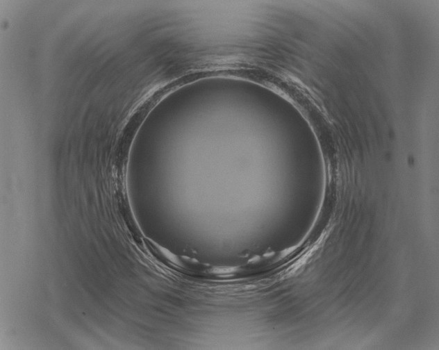 X0000068821449200605051158