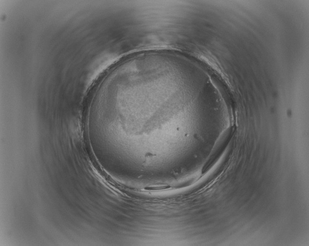 X0000068821452200605051158